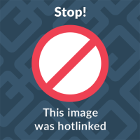 A gif showing a gray clickable transparent button with the words "hover me" on the top. When we hover over the button these words turn to "click me". If we click the message: "Good Job" appears .