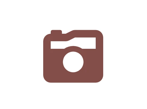 This image displays a red retro camera icon from Font Awesome with the CSS grayscale filter set to 70%, making the red appear much darker, almost brown.