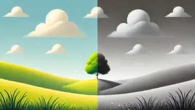A nature image. The half has its origin colors the other halh has only gray shades.
