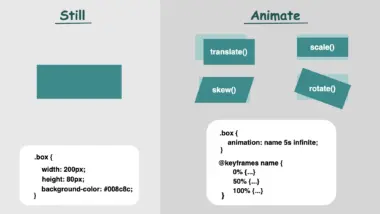 An image splited, showing the difference between stillness and dynamic design utilizing CSS properties