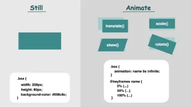 An image splited, showing the difference between stillness and dynamic design utilizing CSS properties