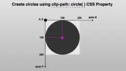 A circle placed on axes X and Y, using clip-path