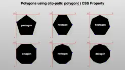 Polygons with highlight marks, positioned on both X and Y axes, made by clip-path: polygon() CSS property